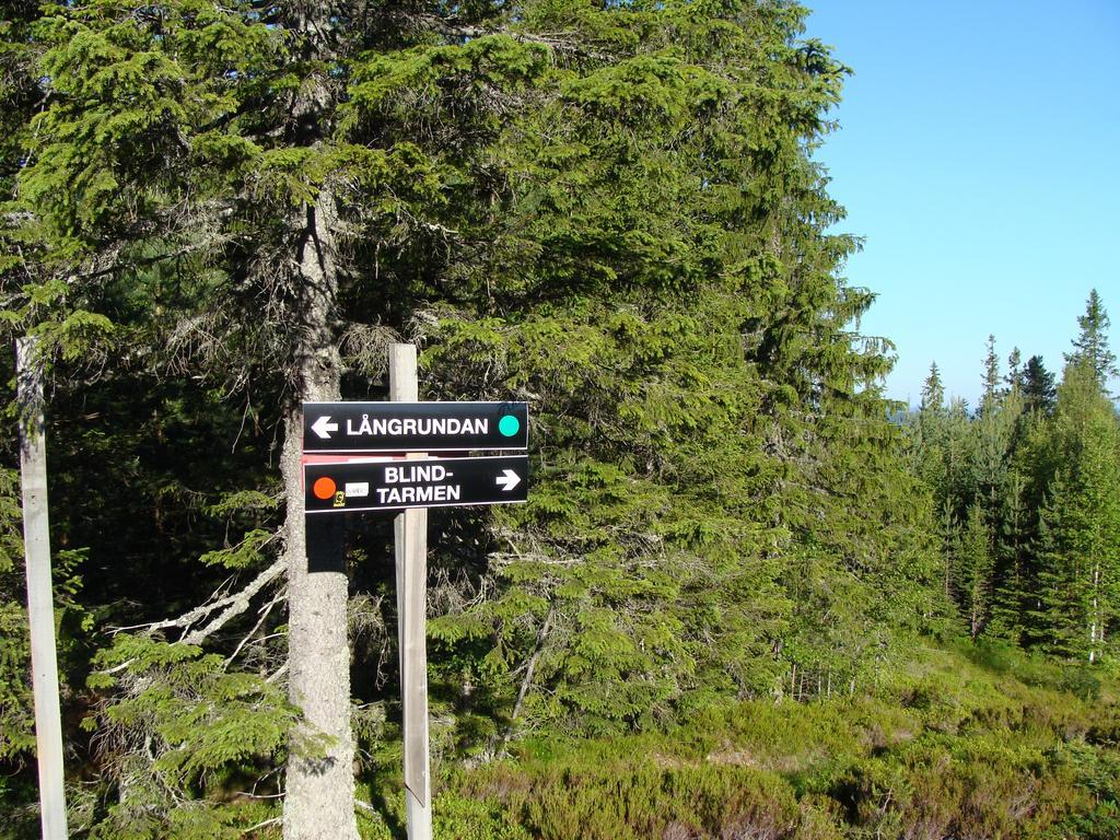 Tomtelandstugan Mora Bagian luar foto